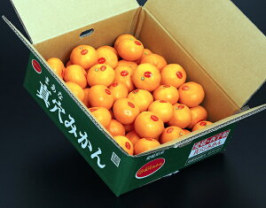 JAɂ ^݂ QY S`LTCY 5kg Yn ܍ 퉷 