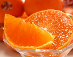 g܂ǂ p ol QY M`5L 2.4kg ȈՔ 퉷 