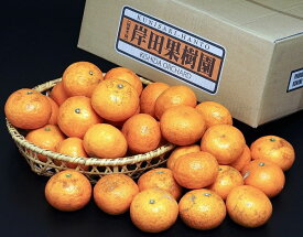 【傷アリ品】岸田果樹園の完熟 『なつみ』大分県産 約5kg S～2Lサイズ　※常温　送料無料