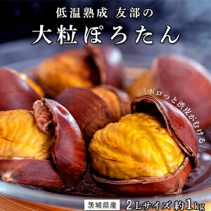 ቷnI ۂ낽 嗱 2LTCY 1kg 錧Y@}ԁiFj ȈՔ ① 