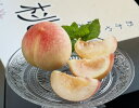 総社もも生産組合『恋みらい』岡山県産 白桃 秀品 約1kg（4～6玉）化粧箱 ※常温 送料無料
