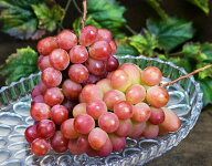 サンシャインレッド 山梨県産 ぶどう 2房 計約1.1kg 簡易箱 ※冷蔵 送料無料 山梨県オリジナル新品種