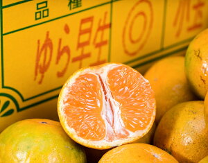超小玉 ゆら早生みかん 和歌山県産 3Sサイズ 約5kg 簡易箱 ※常温 送料無料