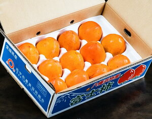 ʁ@xm`@QY 3`5L 5kgi11`14ʁjYn ܍ 퉷@