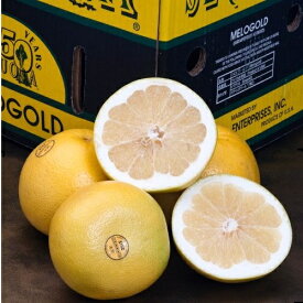 完熟 メロゴールド カリフォルニア産 柑橘 約3kg （4〜8玉） 簡易箱 ※常温 送料無料