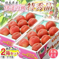 伊達の桃 福島県産 特秀品 約1.5kg×2箱（1箱：5〜9玉） ※常温 JAふくしま未来 送料無料