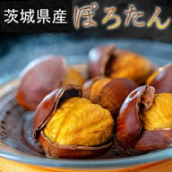 大粒 ぽろたん栗 茨城県笠間産 2～3L 約2kg 簡易箱 ※冷蔵 送料無料