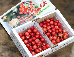 �������ځi�����т܂��͍g�G��j �R�`���Y �G�i L�`2L ��1kg �i��500g×2�p�b�N�j �o���l�� �Y�n�� ���① ��������