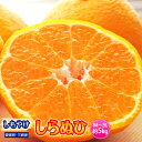 みかん 愛媛県三崎産 訳あり しらぬひ デコポンと同じ糖度13度で選別 M〜3L 約5kg 送料無料
