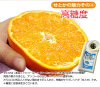 ≪送料無料≫和歌山・愛媛県産「訳ありせとか」サイズ不指定約2kg☆