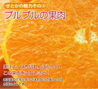 ≪送料無料≫和歌山・愛媛県産「訳ありせとか」サイズ不指定約2kg☆