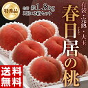 《送料無料》山梨県産 「春日居の桃」《特秀》 大玉 3玉×2箱　約1.8kg【御中元】 frt ☆ ランキングお取り寄せ