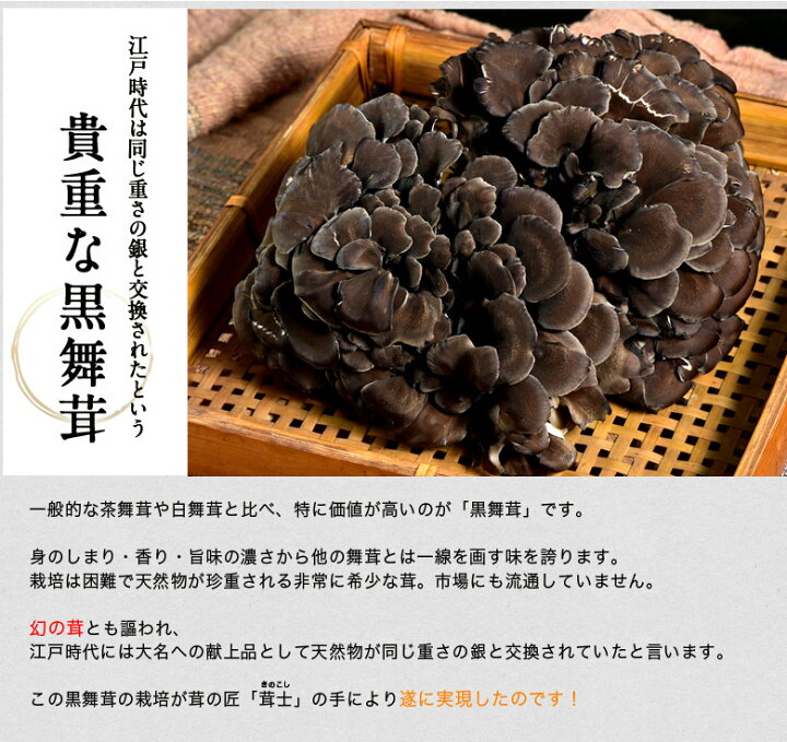 楽天市場】まいたけ 新潟県産 黒舞茸『真』1株(約700g) マイタケ 舞茸 