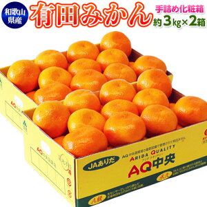 l Lc݂ 2LTCY 3kg×2iv6kgjJA肾 AQI a̎RY 퉷 