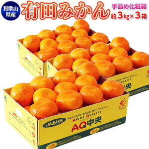 手詰め 有田みかん 2Lサイズ 約3kg×3箱(計約9kg) JAありだ AQ共選 和歌山県産 ※常温 送料無料