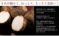 ねっとり!