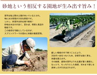 砂地が生み出す旨み!