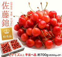 《送料無料》山形県産「さくらんぼ佐藤錦」特秀品Lサイズ以上約700g(350g×2)山形直送frt○