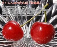 《送料無料》山形県産「さくらんぼ佐藤錦」特秀品Lサイズ以上約700g(350g×2)山形直送frt○