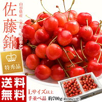 《送料無料》山形県産「さくらんぼ佐藤錦」特秀品Lサイズ以上約700g(350g×2)山形直送frt○