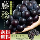 ≪送料無料≫山梨県勝沼産　「藤稔」　4Lサイズ（約650g）×2房　※冷蔵 frt ☆ ランキングお取り寄せ