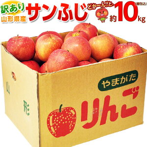 󂠂wTӂSx R`Y 10kgiڈƂ26`50ʁj ol ܍ 퉷 