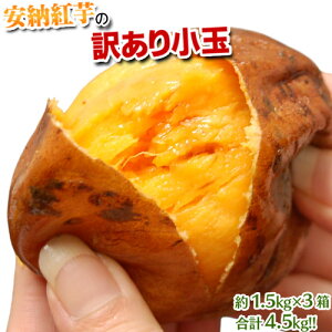 󂠂菬 [g  qY 3 v4.5kgi1 1.5kgj 퉷 
