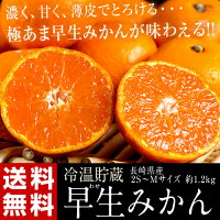 《送料無料》『冷温貯蔵早生みかん』長崎県産2S〜Mサイズ約1.2kgfrt☆