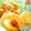 楽天市場 豊洲からの直送便 旬のフルーツ 桃 豊洲からの直送便