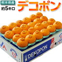 デコポン でこぽん 熊本県産 約5kg 15〜24玉 送料無料 デコポン ※糖度13度選別