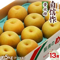 《送料無料》栃木那須野産自信作(豊水)大玉9〜12玉約5キロfrt○