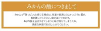 送料無料佐賀県産JAからつうまか美人約2.5kg×2箱2〜3Sサイズ