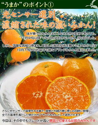 送料無料佐賀県産JAからつうまか美人約2.5kg×2箱2〜3Sサイズ