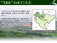 送料無料佐賀県産JAからつうまか美人約2.5kg×2箱2〜3Sサイズ
