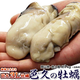 岡山県産 邑久の牡蠣 特大3Lサイズ 約1kg（解凍後約800g）加熱調理用 ※冷凍