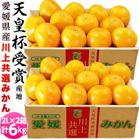 【天皇杯受賞産地】JAにしうわ 愛媛 西宇和産 川上みかん 大玉2Lサイズ 約3kg×2箱 産地直送 送料無料 ギフト お歳暮 みかん　送料無料