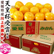 【天皇杯受賞産地】 JAにしうわ 川上みかん 愛媛・西宇和産 2Lサイズ 約3kg×3箱 計約9kg ※常温 送料無…