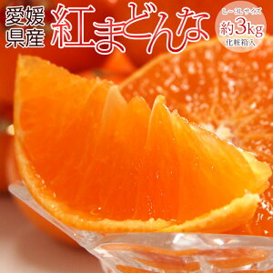 g܂ǂȁ@QY L`3L 3kgi10`15) Ynϔ 퉷@JAł̃ZT[Iʕi 