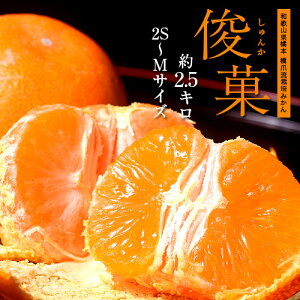 橋爪流栽培みかん 俊菓 (しゅんか) 和歌山県産 2S〜Mサイズ 約2.5kg ※常温 送料無料