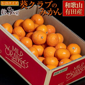 葵クラブのみかん 特選品 S～2S 和歌山県有田産 1箱 風袋込 約3kg ※常温 4箱まで送料1口