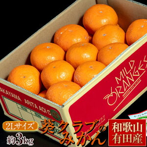 Nû݂ Ii 2L l a̎RLcY ܍ 3kg Yn 퉷@Yn 4܂ő1