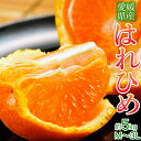オレンジ みかん 送料無料 愛媛県産 はれひめ 約5kg (M〜3L)