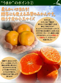 送料無料佐賀県産JAからつうまか美人約2.5kg×2箱2〜3Sサイズ