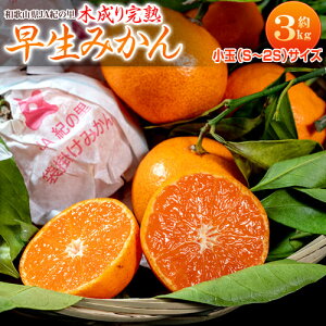 ܊|n݂ a̎RY  2S`S 3kg Yn JAI̗ 퉷 