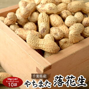 tXY wktԐx100g×10 퉷@