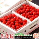 さくらんぼ 佐藤錦【 秀品 Lサイズ 約700g (約350g×2P)】山形県 産地直送 送料無料 ギフト 化粧箱 お中元 御中元 サクランボ ※6月中旬〜7月...