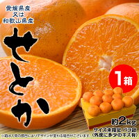 ≪送料無料≫和歌山・愛媛県産「訳ありせとか」サイズ不指定約2kg☆