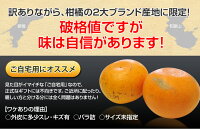 ≪送料無料≫和歌山・愛媛県産「訳ありせとか」サイズ不指定約2kg☆