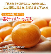 ≪送料無料≫和歌山・愛媛県産「訳ありせとか」サイズ不指定約2kg☆
