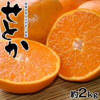 ≪送料無料≫和歌山・愛媛県産「訳ありせとか」サイズ不指定約2kg☆